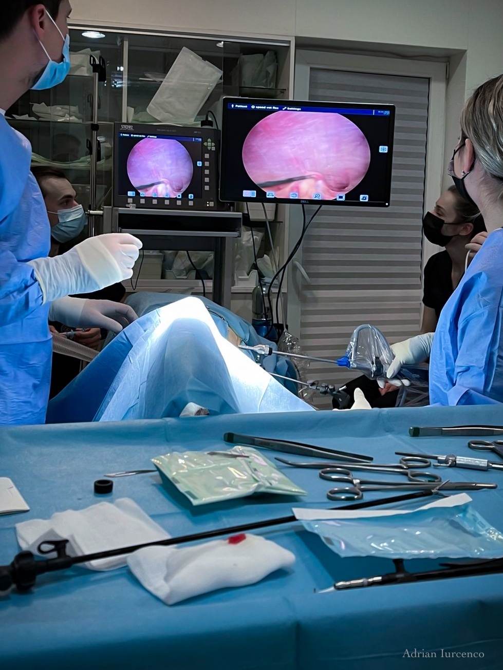 Curs avansat de chirurgie tesuturi moi
